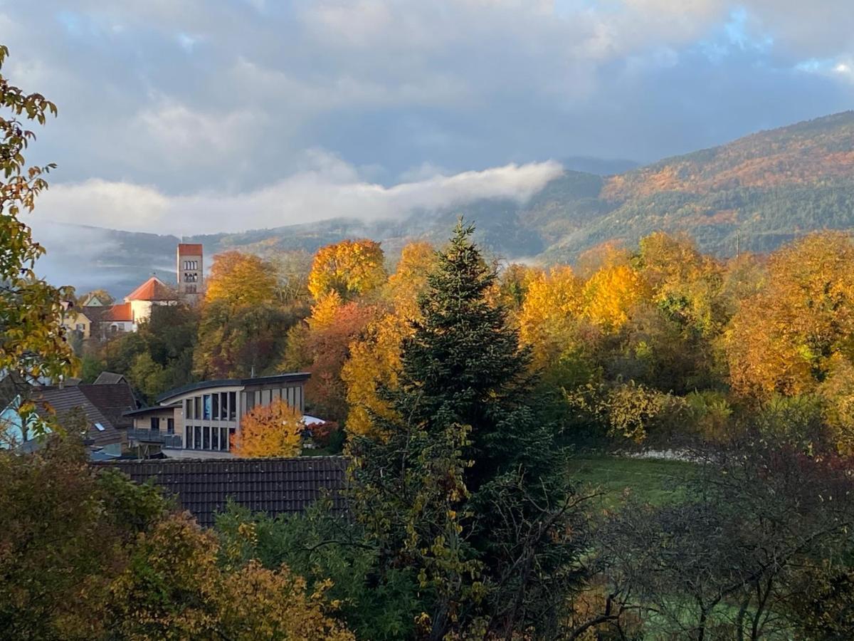 Le Moonloft Insolite Tiny-House Dans Les Arbres & 1 Seance De Sauna Pour 2 Avec Vue Panoramique Osenbach Kültér fotó