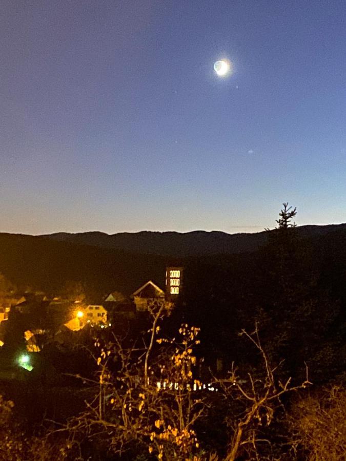 Le Moonloft Insolite Tiny-House Dans Les Arbres & 1 Seance De Sauna Pour 2 Avec Vue Panoramique Osenbach Kültér fotó