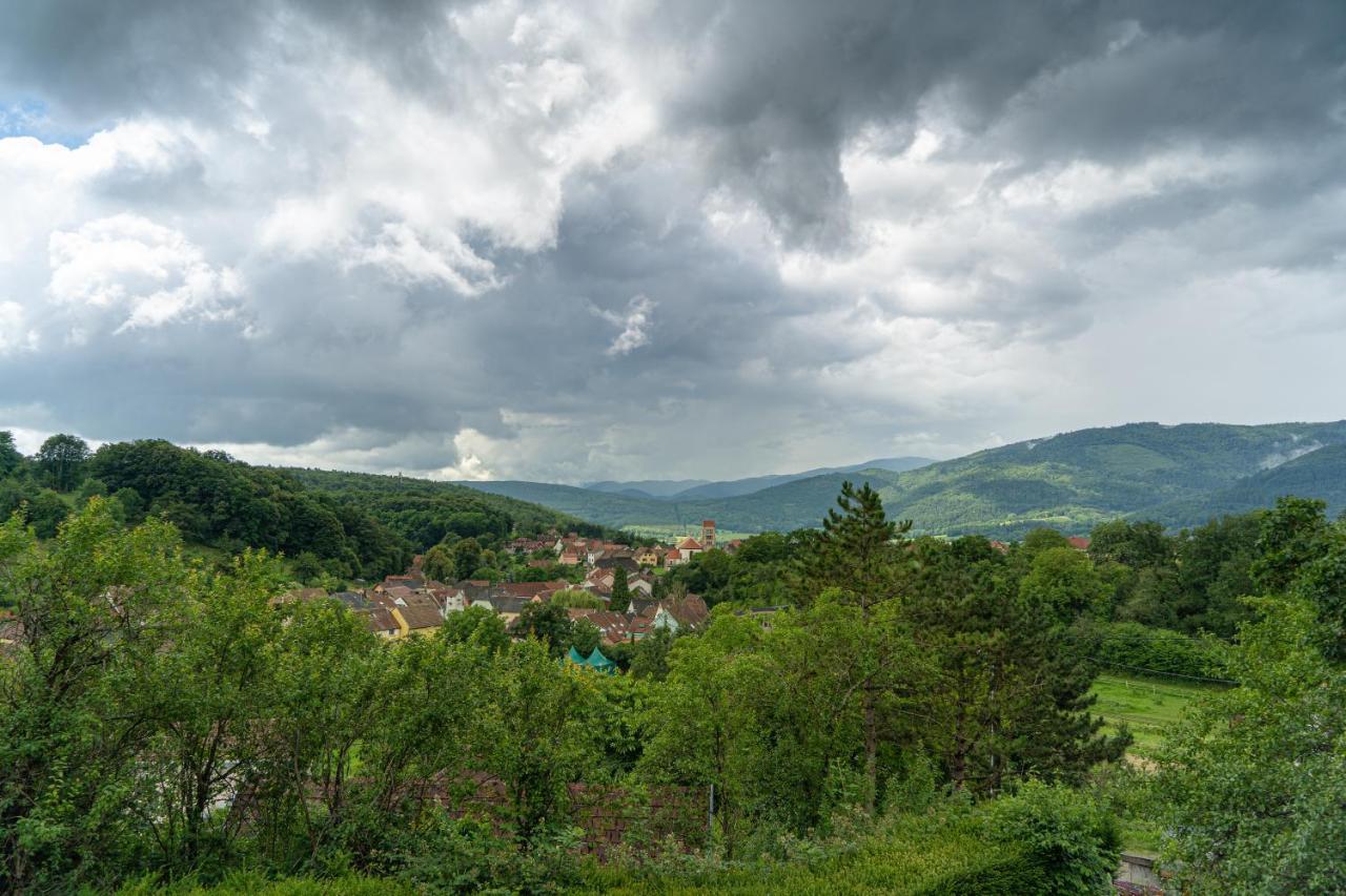 Le Moonloft Insolite Tiny-House Dans Les Arbres & 1 Seance De Sauna Pour 2 Avec Vue Panoramique Osenbach Kültér fotó