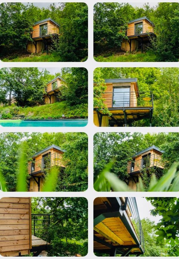 Le Moonloft Insolite Tiny-House Dans Les Arbres & 1 Seance De Sauna Pour 2 Avec Vue Panoramique Osenbach Kültér fotó
